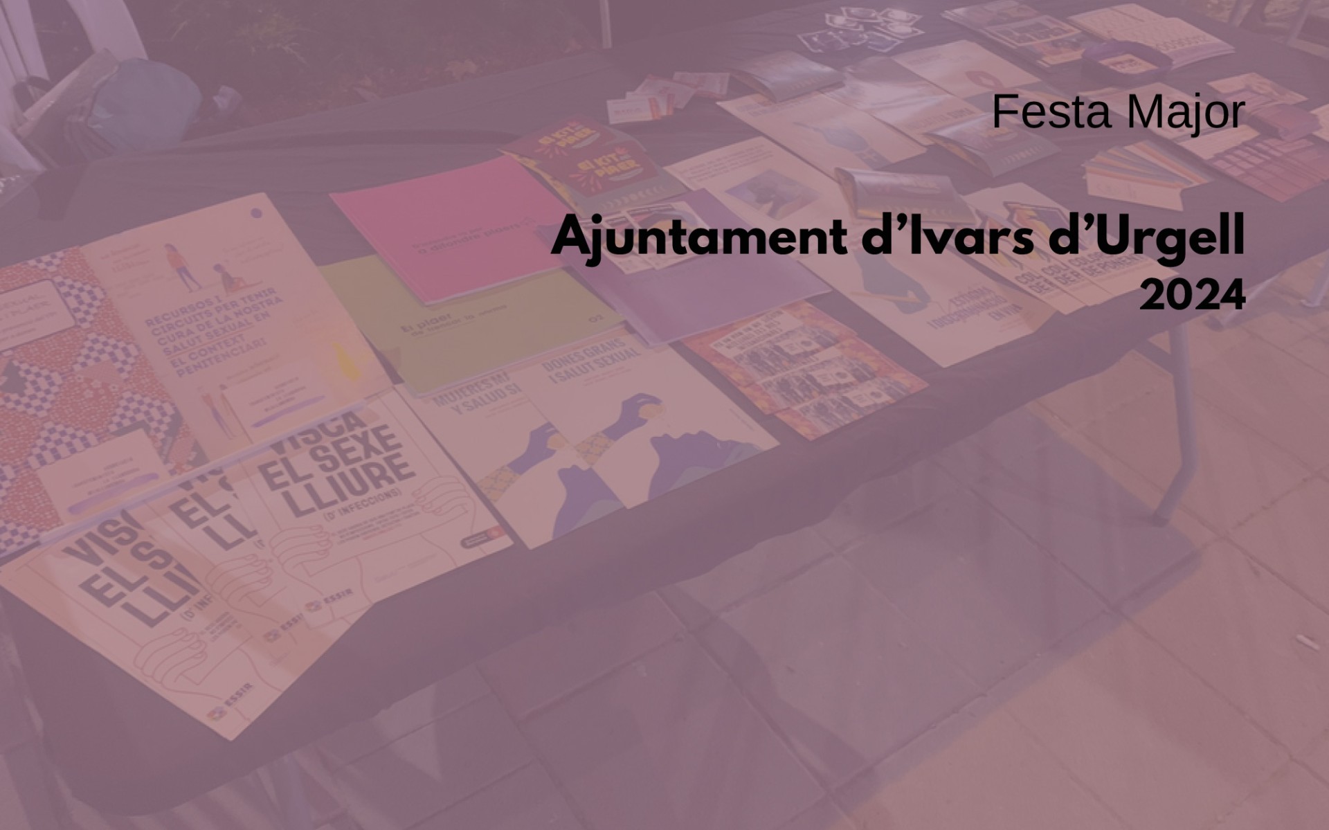 lallamborda-2024-ajuntament-ivars-d-urgell